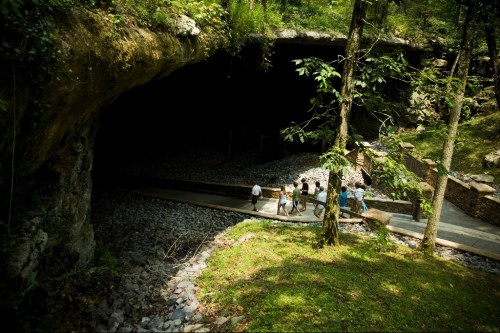 A group of people walks along a path near a large cave entrance surrounded by lush greenery.
