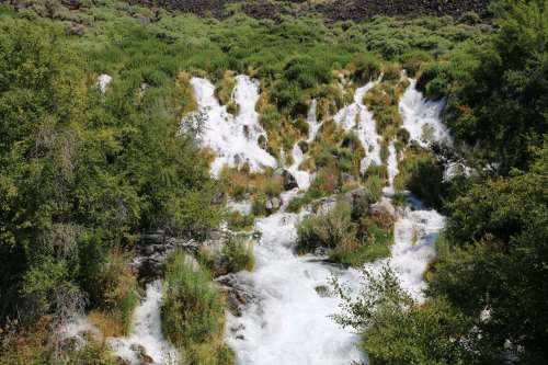 A cascading waterfall flows through lush greenery, surrounded by rocky terrain and vibrant vegetation.