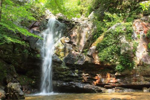 A serene waterfall cascading over rocky cliffs, surrounded by lush green foliage and a tranquil pool below.