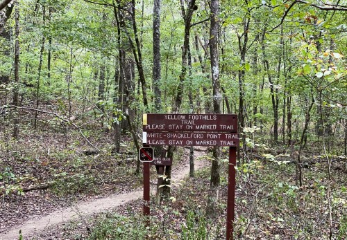 A trail sign in a wooded area, indicating the Yellow Foothills Trail and the White-Shackelford Point Trail.