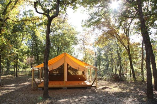 A bright orange tent on a wooden platform surrounded by trees in a sunlit forest.