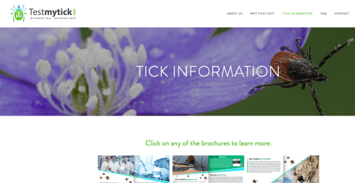 A close-up of a tick on a purple flower, with a website header about tick information and outdoor safety.