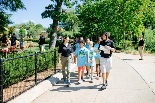 A group of children and adults walk along a path in a park, surrounded by greenery and flamingo decorations.