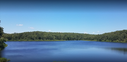A serene lake surrounded by lush green trees under a clear blue sky.