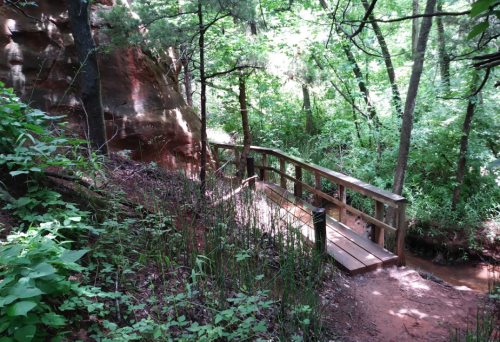 A wooden bridge crosses a small stream in a lush, green forest with rocky cliffs in the background.