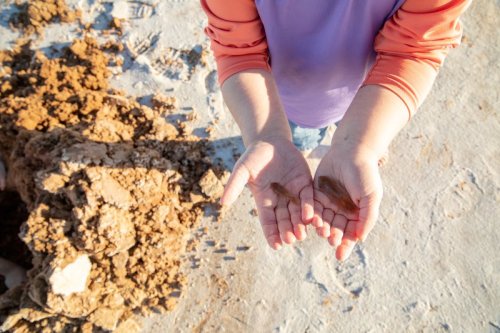 A person holds small objects in their hands, with a sandy surface and a pile of dirt in the background.