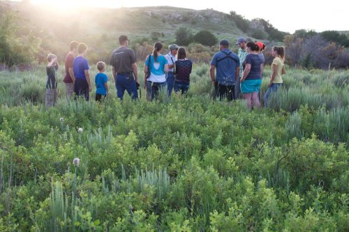 A group of people stands in a grassy field, facing away, with sunlight shining in the background.