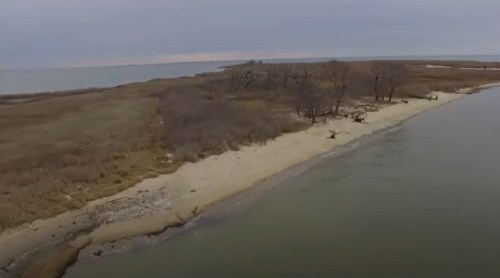 Aerial view of a sandy beach with sparse trees and calm water, under a cloudy sky.