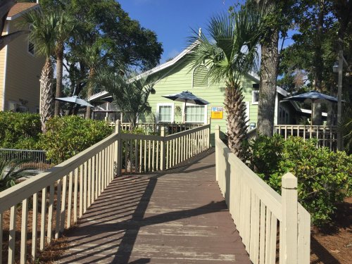 A wooden walkway leads to a green house surrounded by palm trees and outdoor seating under umbrellas.