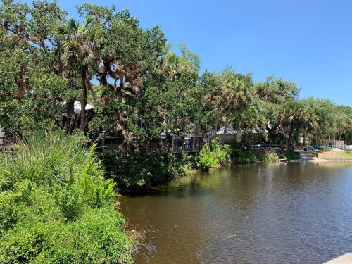 Lush greenery and palm trees line a calm waterway under a clear blue sky.