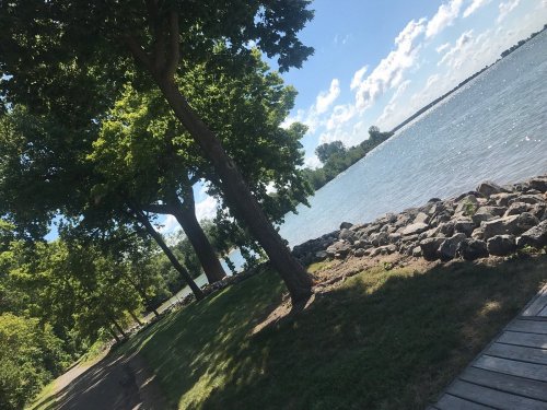 A serene lakeside view with trees, rocks, and a clear blue sky dotted with clouds.