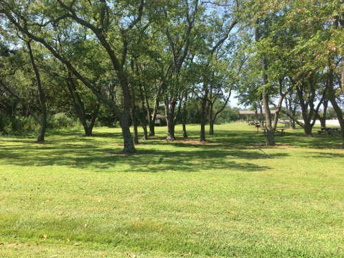 A sunny park scene with lush green grass and trees, featuring a picnic area in the background.