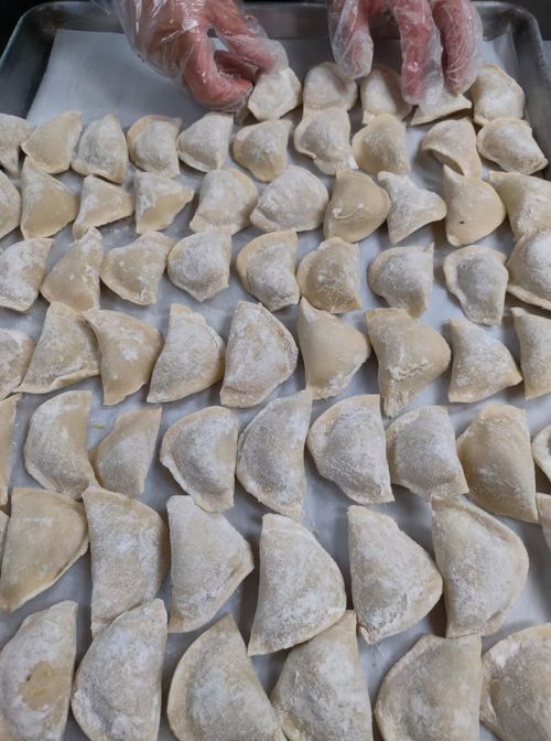 A tray of uncooked dumplings arranged neatly, with hands wearing gloves preparing them.