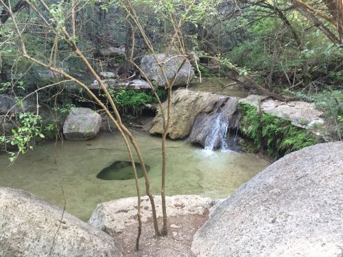 A serene natural scene featuring a small waterfall flowing into a clear pool, surrounded by rocks and lush greenery.