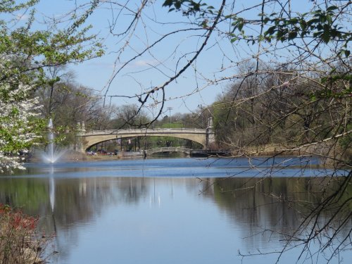 A serene view of a bridge over a calm lake, surrounded by trees and blooming flowers under a clear blue sky.