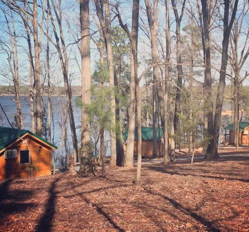 A serene lakeside scene with wooden cabins nestled among trees, surrounded by fallen leaves and calm water.
