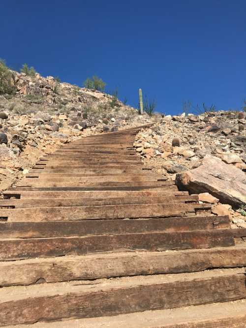 Wooden steps lead up a rocky hillside under a clear blue sky, surrounded by desert vegetation.