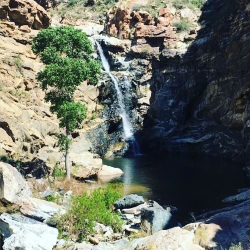 A serene waterfall cascading into a rocky pool, surrounded by cliffs and a lone tree.