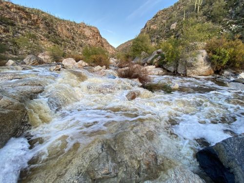 A rushing river flows over rocky terrain, surrounded by lush greenery and steep canyon walls under a clear blue sky.