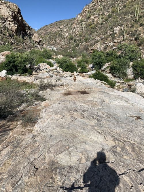A rocky landscape with sparse vegetation and a distant figure walking along a dry riverbed under a clear blue sky.