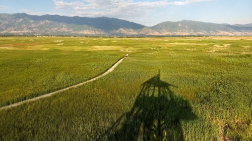 A vast green landscape with a winding path, mountains in the background, and a shadow of a structure in the foreground.