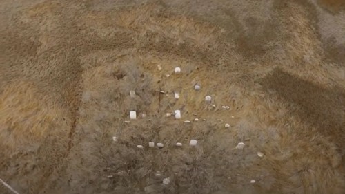 Aerial view of a grassy area with scattered white stones arranged in a circular pattern.