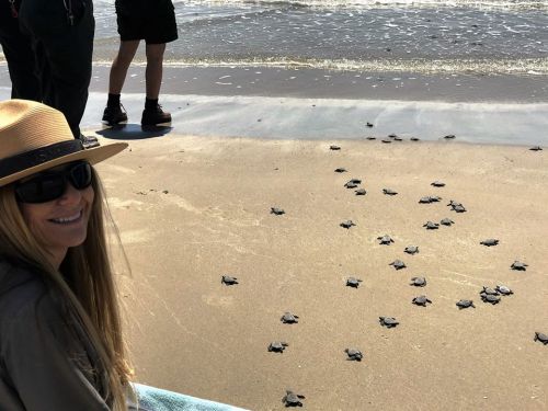 A woman in a hat smiles on the beach as baby sea turtles make their way to the ocean.