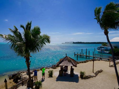 A tropical beach scene with palm trees, a thatched gazebo, and turquoise waters under a clear blue sky.