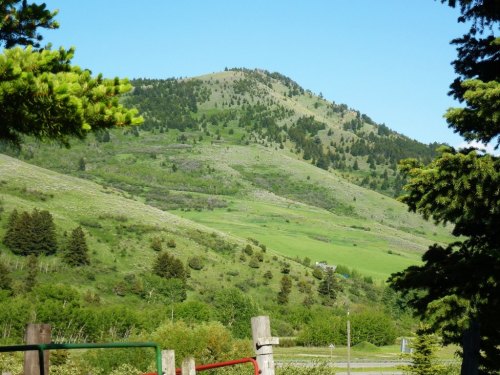 Lush green hills under a clear blue sky, with trees in the foreground and a distant mountain peak.