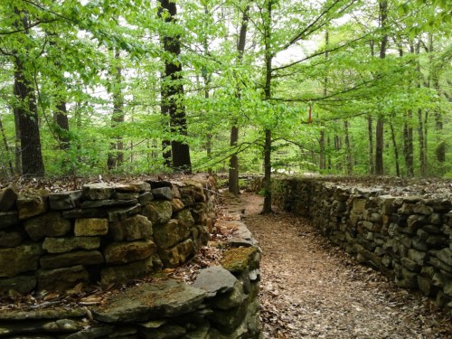 A narrow path winds between stone walls in a lush, green forest, surrounded by trees and fallen leaves.