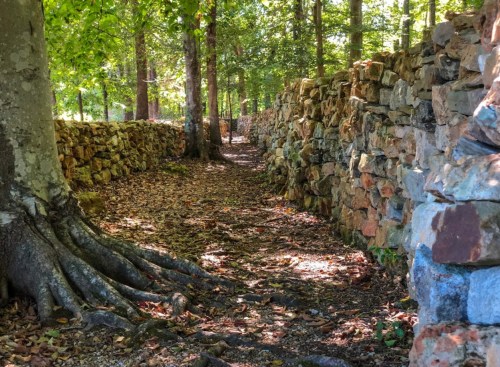 A narrow path lined with stone walls, surrounded by trees and fallen leaves in a sunlit forest.