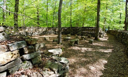 Ruins of stone walls and benches surrounded by lush green trees in a forested area.