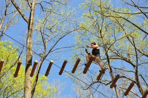 A person navigates a rope course high among trees, balancing on wooden planks against a clear blue sky.
