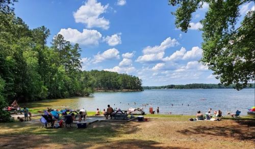 A sunny lakeside scene with people swimming and relaxing on the shore, surrounded by trees and fluffy clouds.