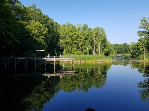 A serene lake surrounded by lush green trees, with a wooden dock reflecting in the calm water under a clear blue sky.