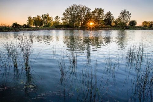 Sunset over a calm lake, with tall grasses reflected in the water and trees lining the shore.