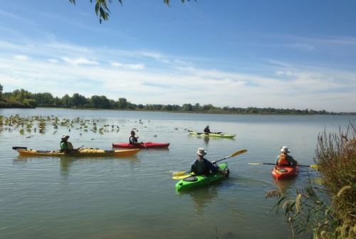 Five kayakers in colorful kayaks paddle on a calm river surrounded by greenery and a clear blue sky.