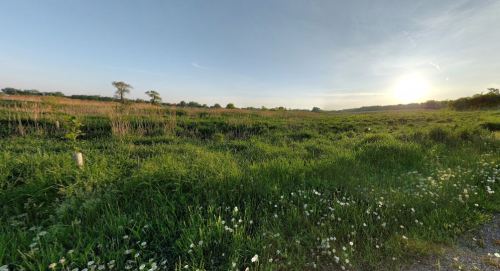 A serene landscape featuring lush green fields, wildflowers, and a sunset in the background.