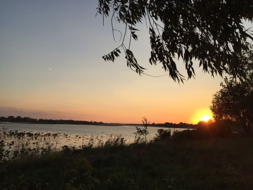 A serene sunset over a calm lake, framed by trees and lush greenery along the shore.