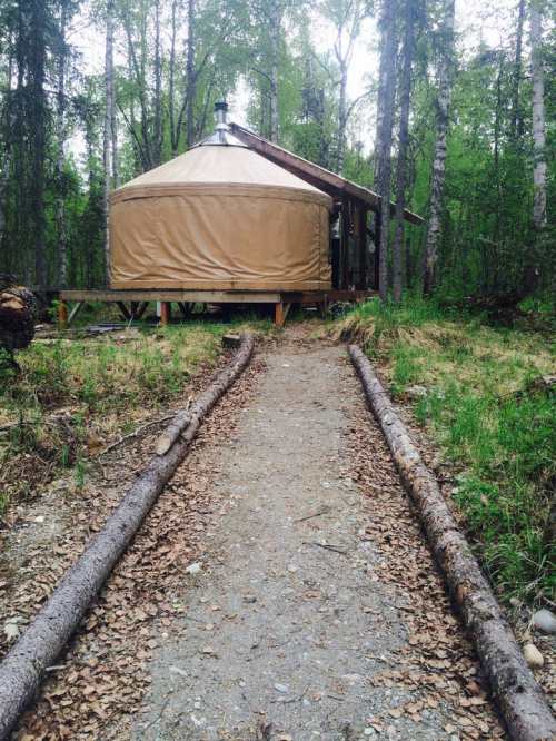 A path leads to a tan yurt surrounded by trees in a forested area, with logs lining the walkway.