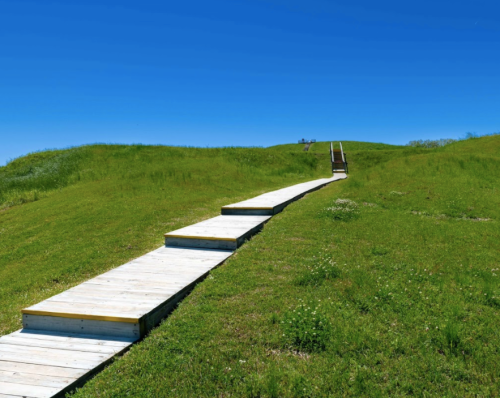 A wooden walkway leads up a grassy hill under a clear blue sky.