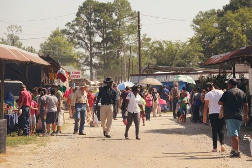 A bustling outdoor market scene with people walking, vendors, and colorful umbrellas under a clear sky.