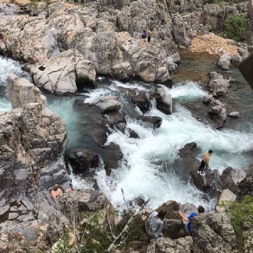 A rocky river with people exploring the banks and shallow areas, surrounded by lush greenery and flowing water.