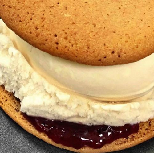 Close-up of a dessert featuring a layer of ice cream and jam sandwiched between two cookie-like layers.