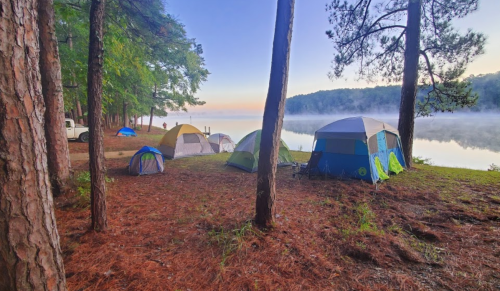 A serene lakeside campsite with several colorful tents surrounded by trees and morning mist over the water.