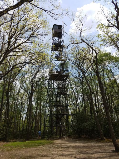 A tall metal observation tower surrounded by trees under a partly cloudy sky. A person stands at the base.