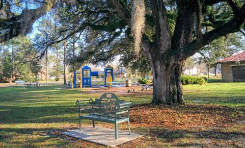 A park scene featuring a bench under a large tree, with playground equipment and picnic tables in the background.