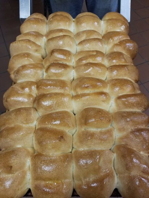 A freshly baked tray of golden brown dinner rolls arranged in a neat grid pattern.