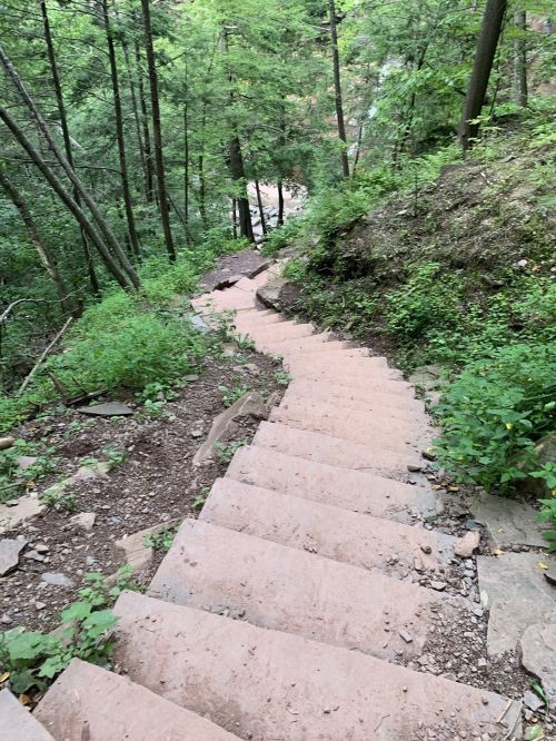 Winding stone steps descend through a lush green forest, surrounded by trees and foliage.