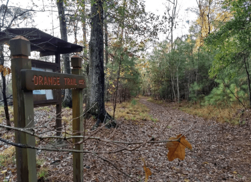 A sign for the Orange Trail beside a winding path through a wooded area with autumn foliage.
